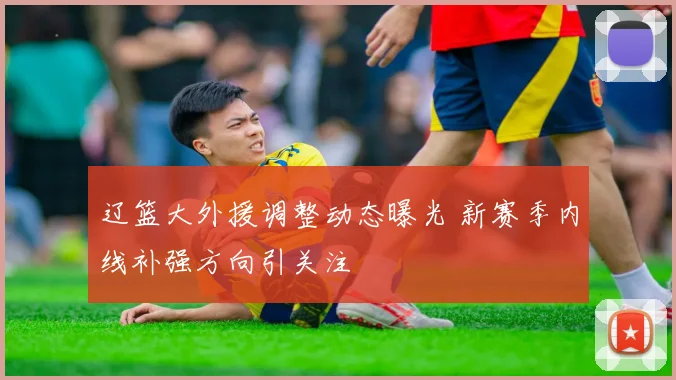辽篮大外援调整动态曝光 新赛季内线补强方向引关注