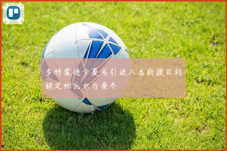 多特蒙德今夏或引进八名新援目标锁定帕瓦尔与桑乔