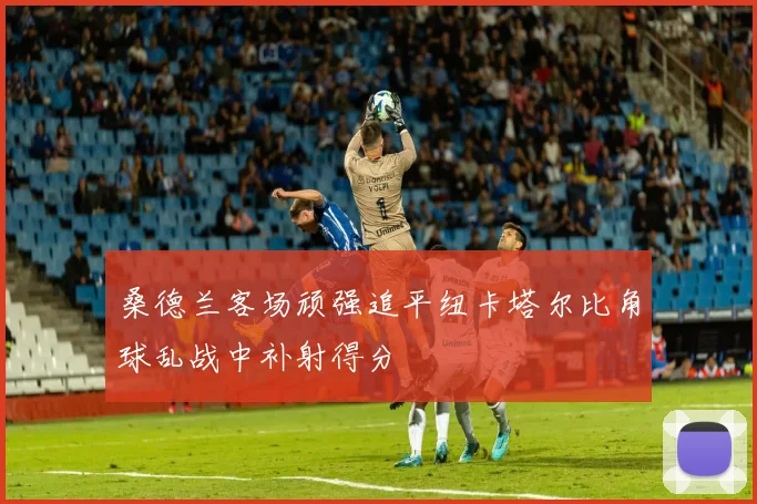 桑德兰客场顽强追平纽卡塔尔比角球乱战中补射得分